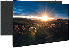 ZOBO 智慧显示系统 98LCD 98寸LCD会议屏